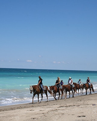 HORSEBACK RIDING ON THE BEACH